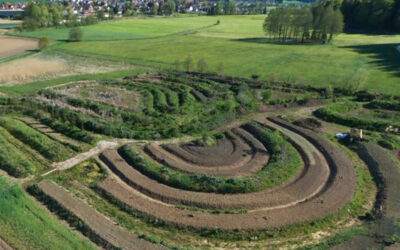 Der Permakulturgarten